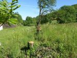 Édification d'une villa de plain-pied en agglo de 20 cms