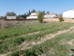 Réalisation d'une habitation en agglo de 20 cms