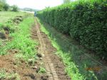 Construction de 2 maisons locatives